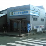 正面横